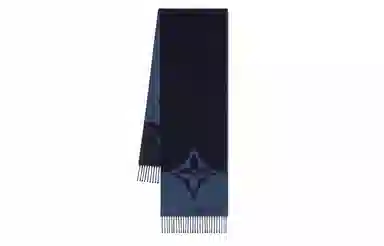 Louis Vuitton Scarf Blue