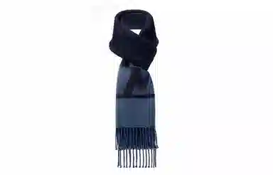 Louis Vuitton Scarf Blue