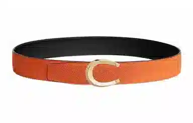Hermes Belt