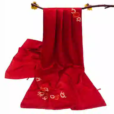 上海故事 古典国风气质双层素绉缎盘扣真丝刺绣披肩春秋长巾婚礼晚宴外搭 桑蚕丝 丝巾 女款