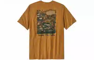 patagonia T