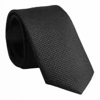 红豆 商务休闲英伦免打结 涤纶丝 领带 男款