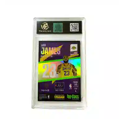 PANINI top class winner 9