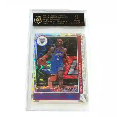 PANINI hoops 9