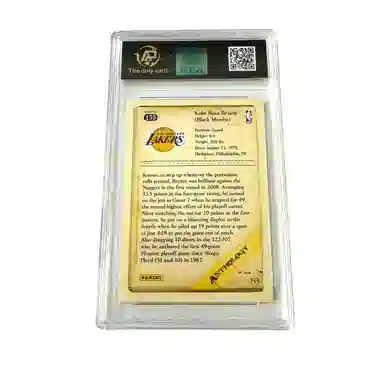 PANINI 7