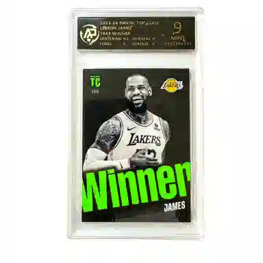 PANINI top class winner 9