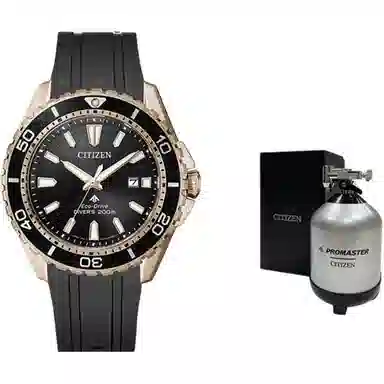 Citizen Promaster BN0193-17E