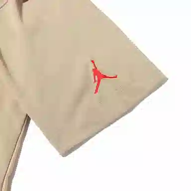 Jordan Air Jordan 6 Travis Scott T-Shirt Khaki