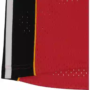 Mitchell Ness Sw 05-06 3