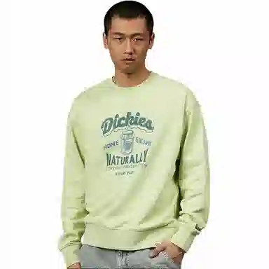 DIckies 24