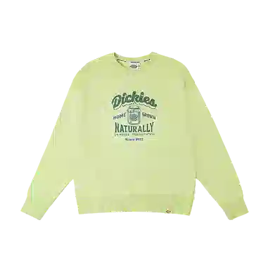 DIckies 24