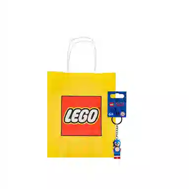 LEGO x 854239