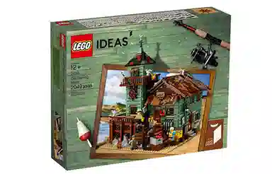 LEGO Ideas 21310