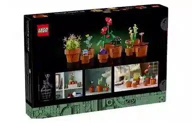 LEGO 10329