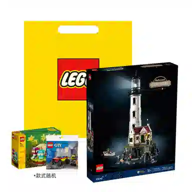 LEGO 21335