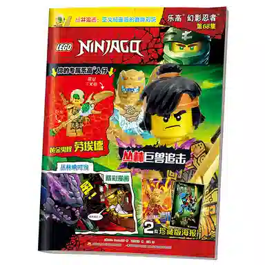 LEGO 68 21072010110249