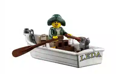LEGO 21335