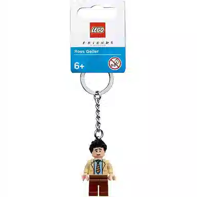 LEGO IDEAS Ross 854117