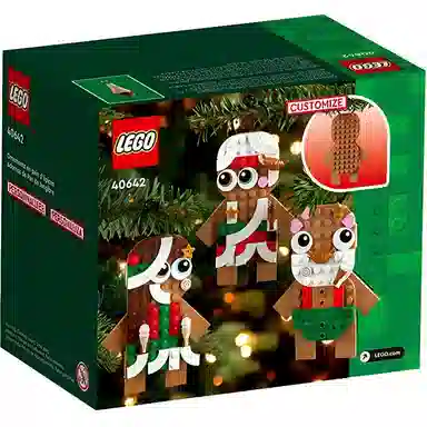 LEGO 190pcs 40642
