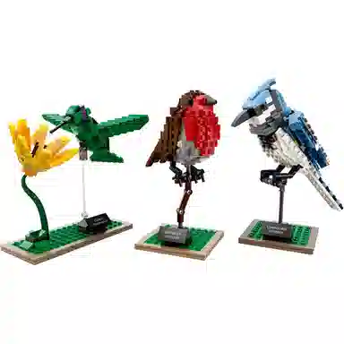 LEGO Ideas 21301