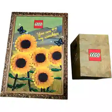 LEGO 71043-179439