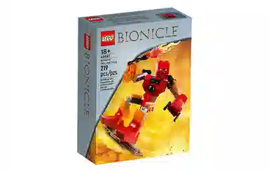 LEGO 219pcs 40581