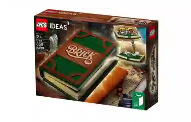 LEGO Ideas 21315