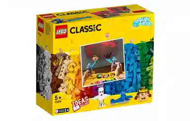 LEGO 11009