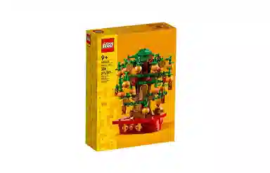 LEGO 40648