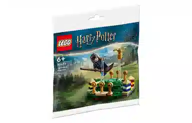 LEGO 55pcs 30651