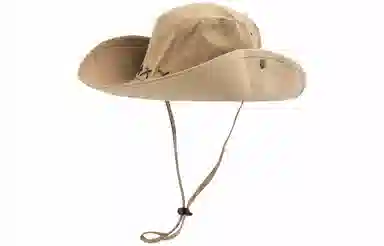 Cranta Komeia ins