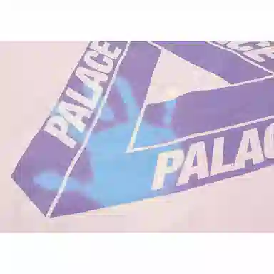 PALACE Reacto Trl-Ferg Hood Pink