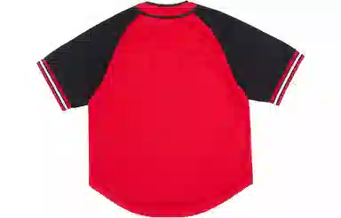 Mitchell Ness LogoVT