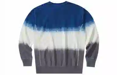 Champion Reverse Weave logo