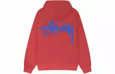 Stussy FW23 Dizzy Stock Hoodie