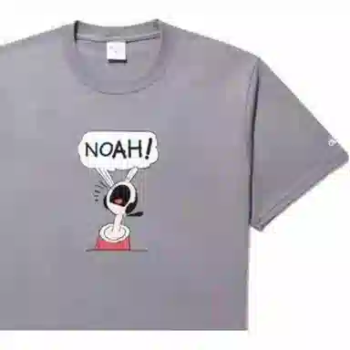 NOAH LogoT