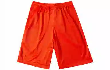 Champion Mesh Shorts Orange