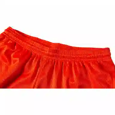 Champion Mesh Shorts Orange