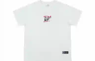 VEIDOORN T