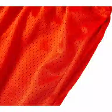 Champion Mesh Shorts Orange