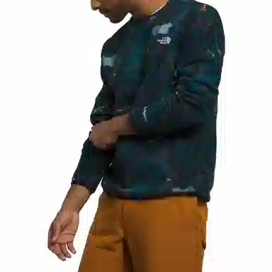 THE NORTH FACE Alpine Polartec 100 Crew