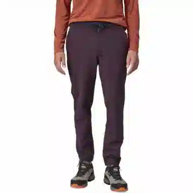patagonia Skyline Traveler Pants
