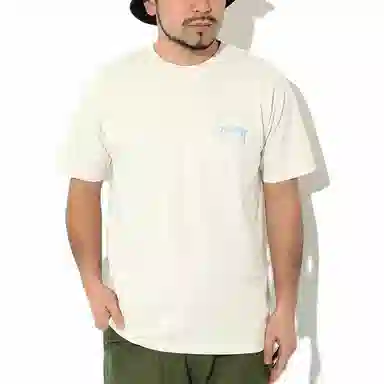 Stussy Statue Pig Dyed Tee