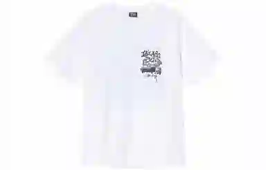 Stussy The Beach Boy T
