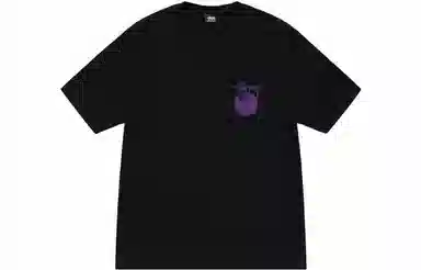 Stussy FW23 X-RAY TEE XT