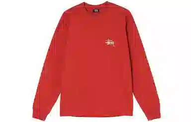 Stussy Basic Stussy Ls Tee