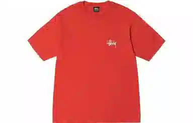 Stussy Basic Pigment Dyed Tee