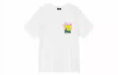 Stussy Palm Desert Tee