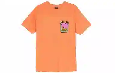 Stussy Palm Desert Tee