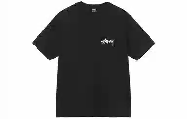 Stussy T